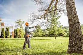 Best Arborist Consultation Services  in Savannah, MO